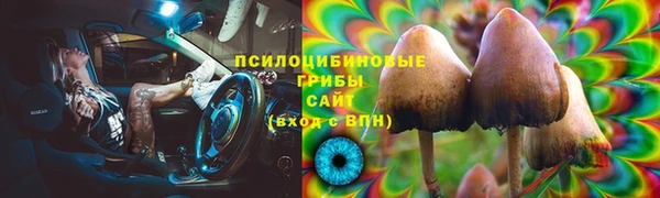 крисы Волоколамск