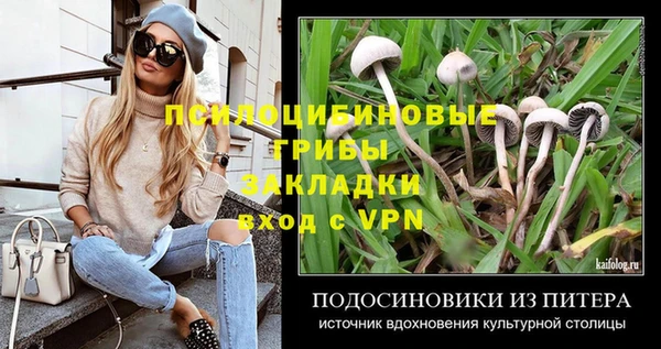 крисы Волоколамск