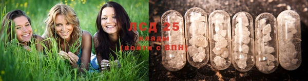 крисы Волоколамск