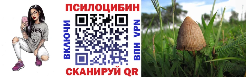 Псилоцибиновые грибы мухоморы  хочу наркоту  Елизаветинская 